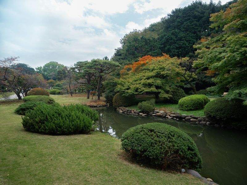 庭匠みどり園 4